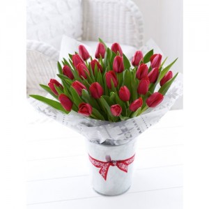 20 RED TULIPS BOUQUET