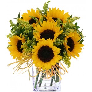 6 Pieces Sunflower in a Vase