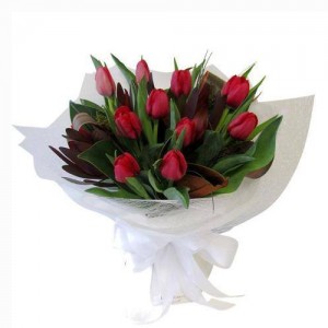 10 Pieces Red Tulips