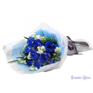 Blue ecuadorian bouquet